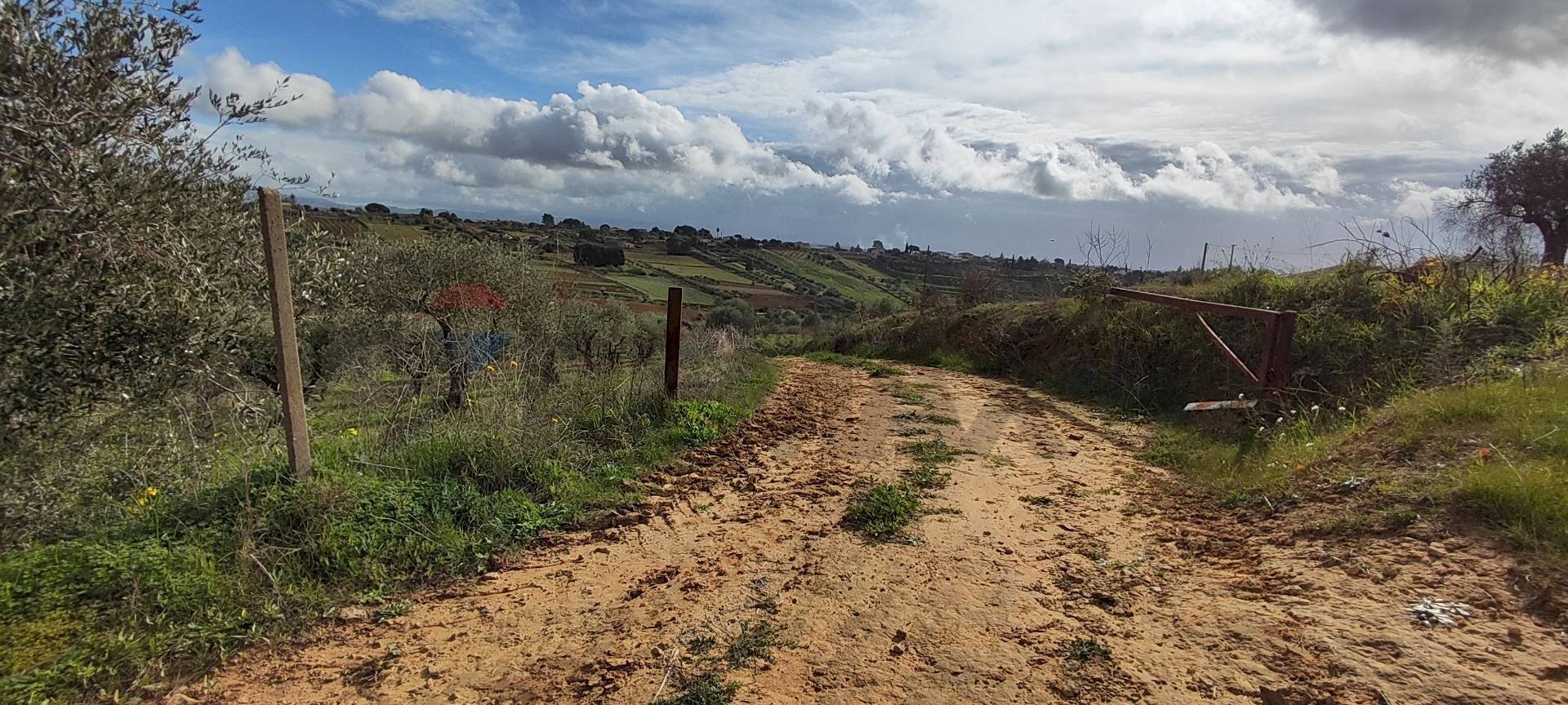 Vista delle montagne - Agricultural land C.DA REGALSEMI
SN, Caltagirone - photo 2