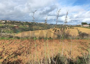 Vista delle montagne - Terreno agricolo C.DA REGALSEMI
 
SN, Caltagirone - foto 1