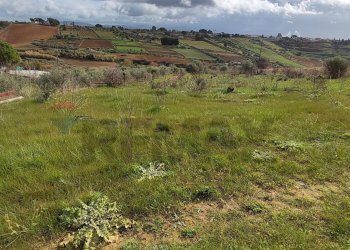 Vista delle montagne - Terreno agricolo C.DA REGALSEMI
 
SN, Caltagirone - foto 3