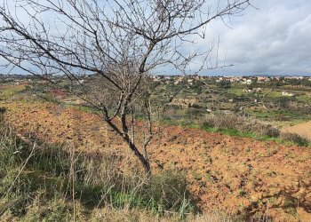 Vista delle montagne - Terreno agricolo C.DA REGALSEMI
 
SN, Caltagirone - foto 4
