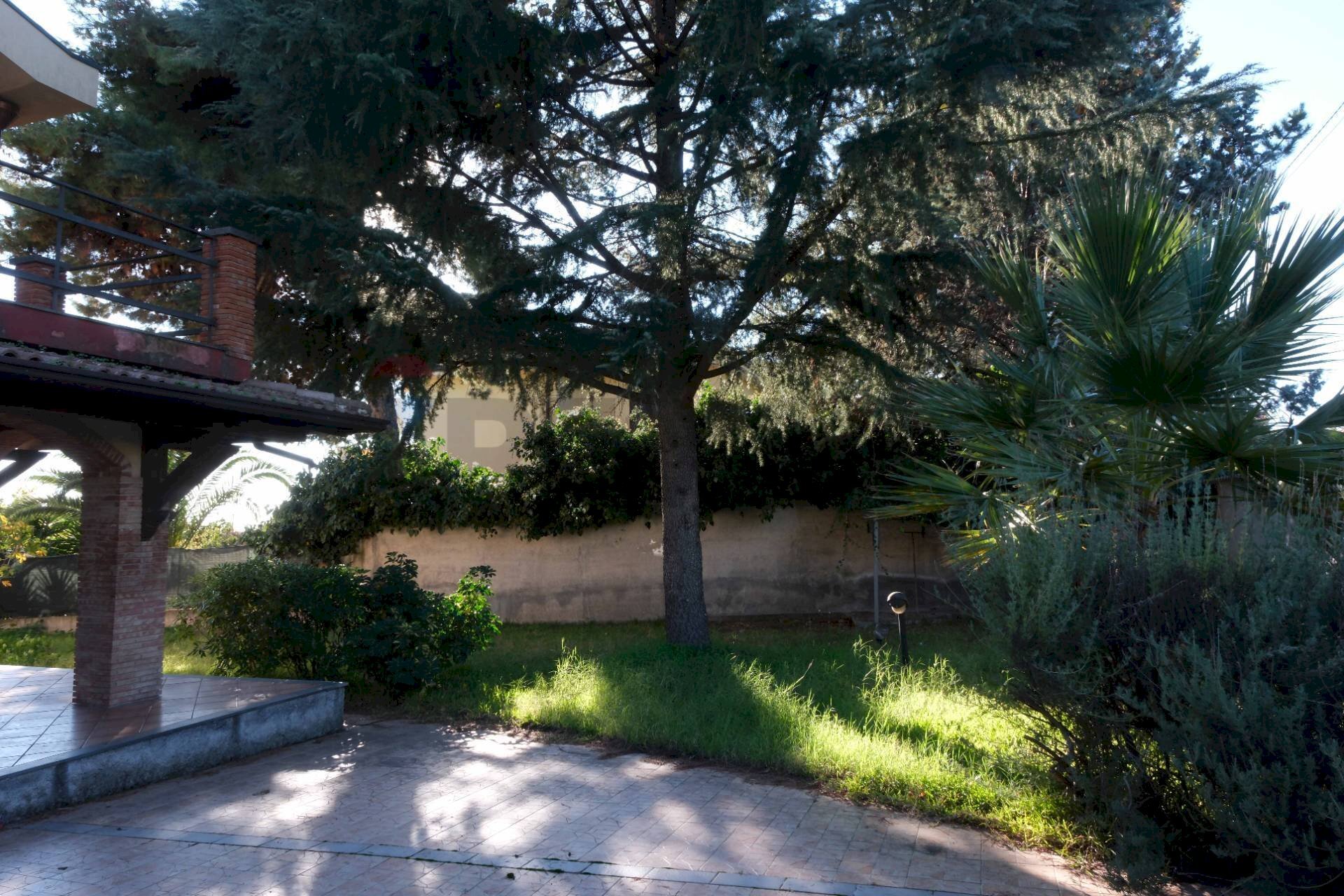 Giardino - Villa via Mario Cutelli
 
3, Pedara - foto 2