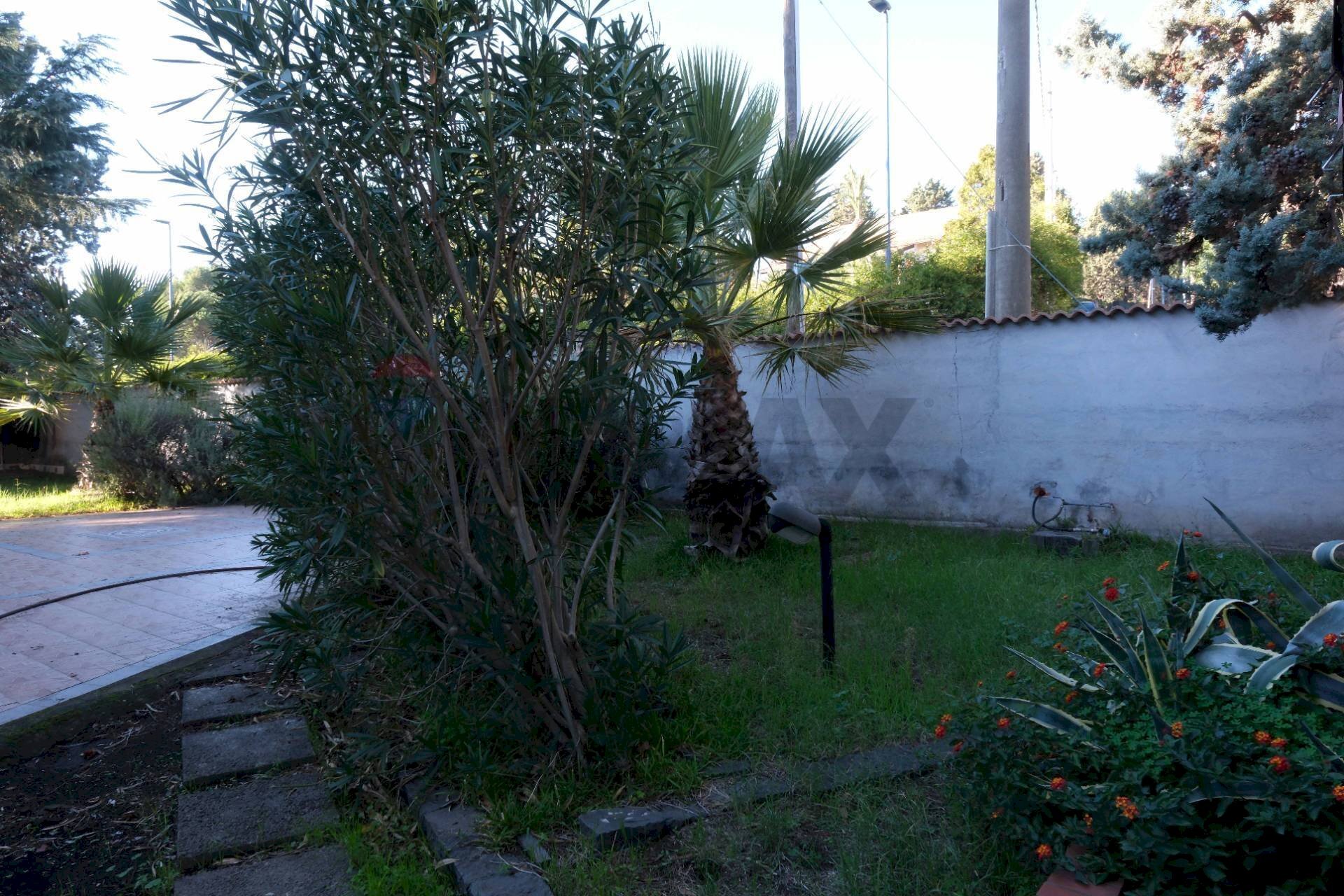 Giardino - Villa via Mario Cutelli
 
3, Pedara - foto 3