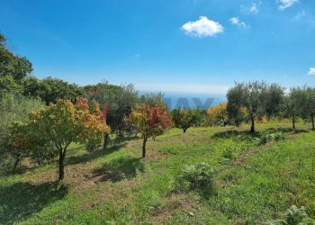 Giardino - Terreno edificabile strada provinciale nunziata puntalazzo, Mascali - foto 1