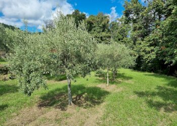 Giardino - Terreno edificabile strada provinciale nunziata puntalazzo, Mascali - foto 6
