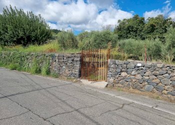 Non correlato - Terreno edificabile strada provinciale nunziata puntalazzo, Mascali - foto 7