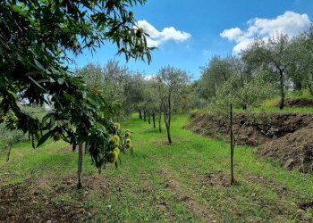 Giardino - Terreno edificabile strada provinciale nunziata puntalazzo, Mascali - foto 8