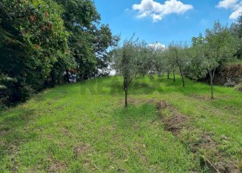 Giardino - Terreno edificabile strada provinciale nunziata puntalazzo, Mascali - foto 9