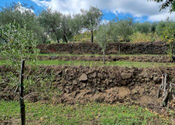 Giardino - Terreno edificabile strada provinciale nunziata puntalazzo, Mascali - foto 10