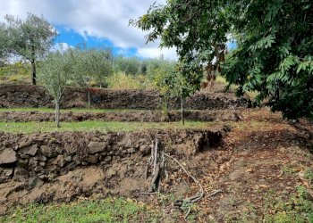 Giardino - Terreno edificabile strada provinciale nunziata puntalazzo, Mascali - foto 11