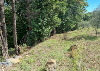 Giardino - Terreno edificabile strada provinciale nunziata puntalazzo, Mascali - foto 13