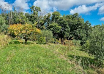 Giardino - Terreno edificabile strada provinciale nunziata puntalazzo, Mascali - foto 14
