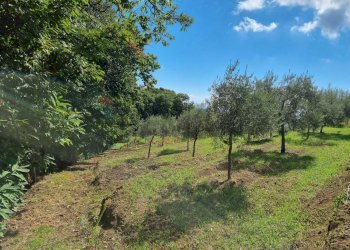 Giardino - Terreno edificabile strada provinciale nunziata puntalazzo, Mascali - foto 14
