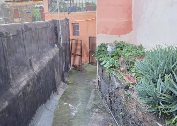 Giardino - Appartamento via russo
 
40, Paterno - foto 2