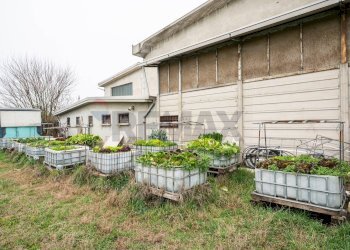 Casa all\'aperto - Capannone Via Carboni
 
127, Luzzara - foto 14