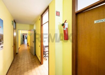 Hall / corridoio - Capannone Via Carboni
 
127, Luzzara - foto 25