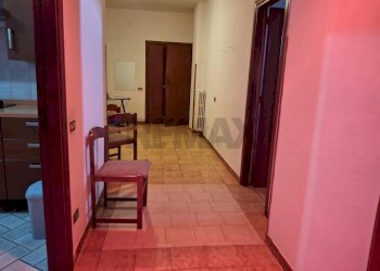 Hall / corridoio - Trilocale Santi Cosma e Damiano - foto 1