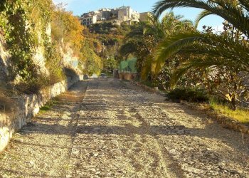 Giardino - Villa Sant'Angelo Romano - photo 45