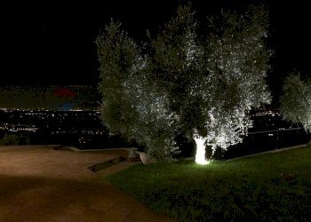 Giardino - Villa Sant'Angelo Romano - photo 50