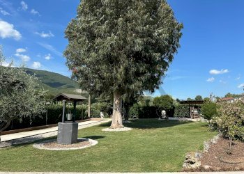 Giardino - Villa Via Selva
1, Montaquila - foto 137