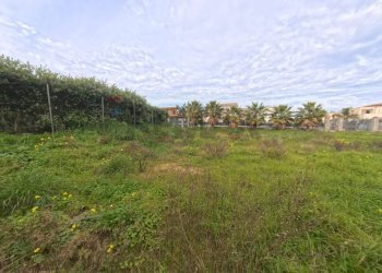 Giardino - Terreno edificabile Via Rocco Dicillo
 
20, Carini - foto 4