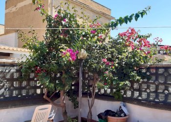 Edificio all\'aperto - Villa Campobello di Mazara - foto 5