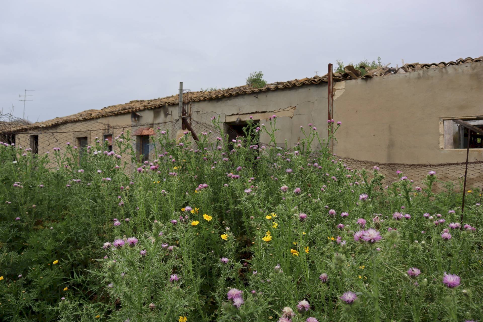 Edificio all\'aperto - Rustico C.da Pantanelli
 
snc, Gela - foto 1