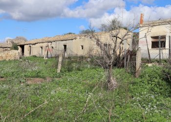 Giardino - Rustico C.da Pantanelli
 
snc, Gela - foto 1