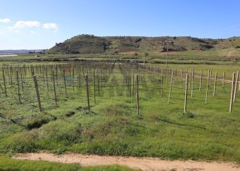 Vista delle montagne - Rustico C.da Pantanelli
 
snc, Gela - foto 42