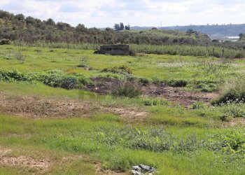Vista delle montagne - Rustico C.da Pantanelli
 
snc, Gela - foto 49