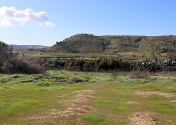 Vista delle montagne - Rustico C.da Pantanelli
 
snc, Gela - foto 53