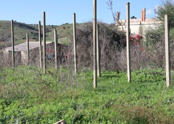 Vista delle montagne - Rustico C.da Pantanelli
 
snc, Gela - foto 56