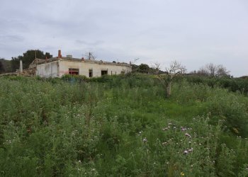 Giardino - Rustico C.da Pantanelli
 
snc, Gela - foto 68