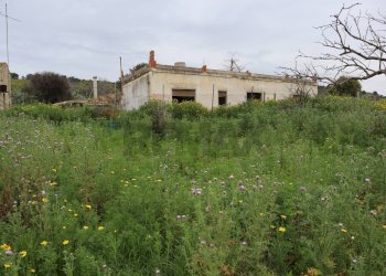 Giardino - Rustico C.da Pantanelli
 
snc, Gela - foto 69