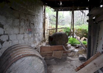 Soggiorno - Rustico C.da Pantanelli
 
snc, Gela - foto 80