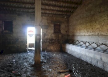 Stanza vuota - Rustico Cda Cilone/Maurino
 
snc, Ragusa - foto 11