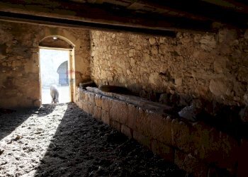 Stanza vuota - Rustico Cda Cilone/Maurino
 
snc, Ragusa - foto 13