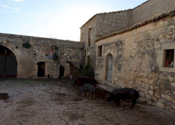 Casa all\'aperto - Rustico Cda Cilone/Maurino
 
snc, Ragusa - foto 20