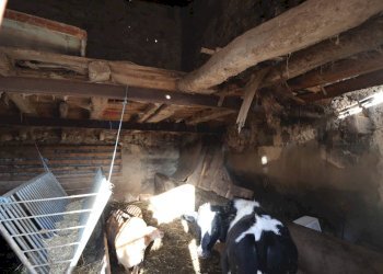 Non correlato - Rustico Cda Cilone/Maurino
 
snc, Ragusa - foto 22