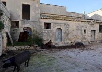 Casa all\'aperto - Rustico Cda Cilone/Maurino
 
snc, Ragusa - foto 32