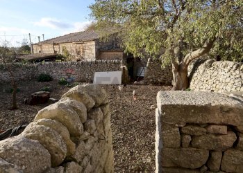 Giardino - Rustico Cda Cilone/Maurino
 
snc, Ragusa - foto 39