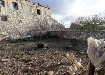 Giardino - Rustico Cda Cilone/Maurino
 
snc, Ragusa - foto 48