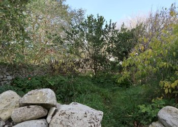 Giardino - Rustico Cda Cilone/Maurino
 
snc, Ragusa - foto 62