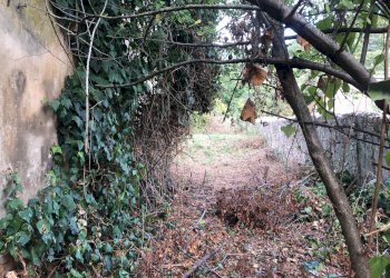 Foto 2 - Casa indipendente lungomonte pisano
 
10, Calci - foto 2