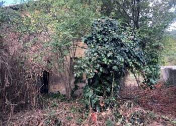 Foto 3 - Casa indipendente lungomonte pisano
 
10, Calci - foto 3