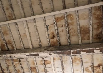 Foto 15 - Casa indipendente lungomonte pisano
 
10, Calci - foto 15