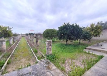 Giardino - Casa indipendente Strada Comunale Raho
 
snc, Novoli - foto 4