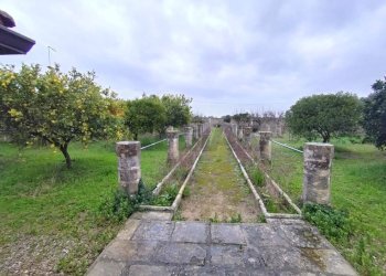 Giardino - Casa indipendente Strada Comunale Raho
 
snc, Novoli - foto 5