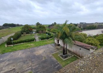 Giardino - Casa indipendente Strada Comunale Raho
 
snc, Novoli - foto 7