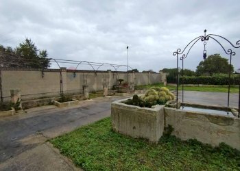 Giardino - Casa indipendente Strada Comunale Raho
 
snc, Novoli - foto 8