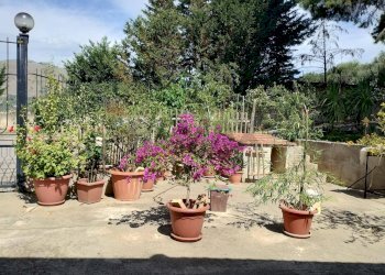 Terrazza - Villa Contrada Masseria D'amari
 
99, Misilmeri - photo 25